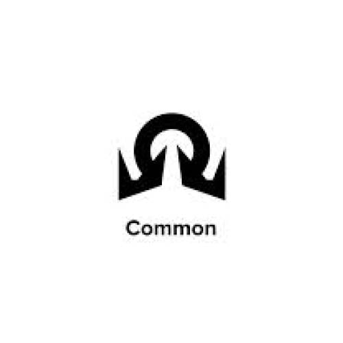 MTG Single - Common