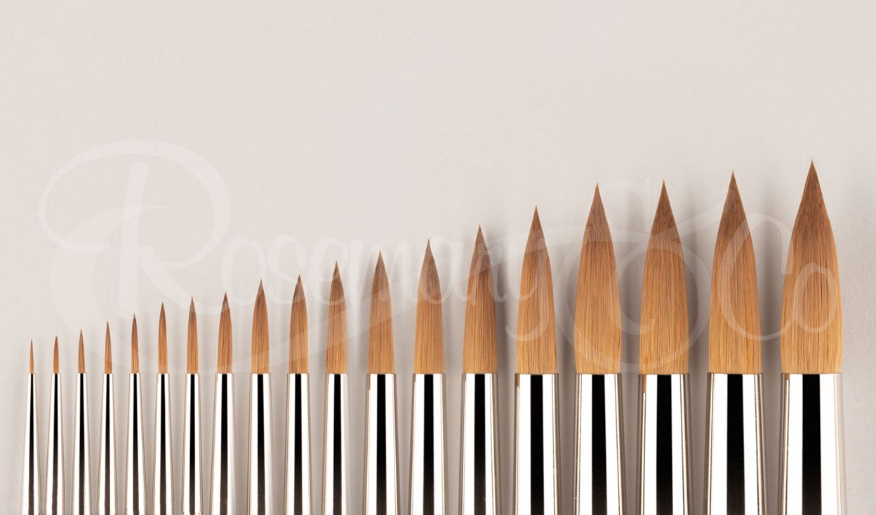 Rosemary&Co Brushes