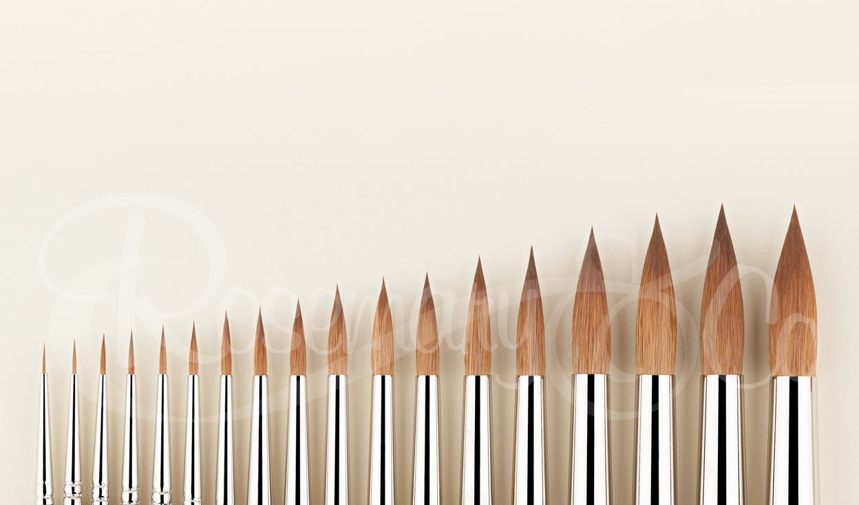 Rosemary&Co Brushes
